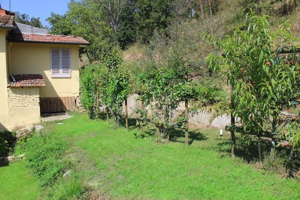 Casa Barulli - Tuscany San Giovanni Valdarno Buitenkant foto
